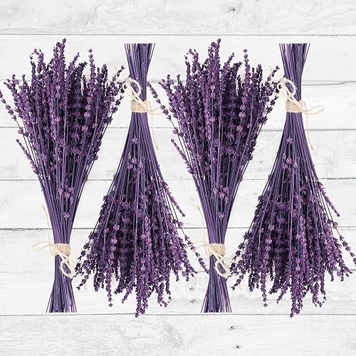 Paquete de 300 flores de lavanda secas conservadas, ramo de lavanda seca púrpura natural de 15 a 17 pulgadas para manualidades, ducha, deshierbe del