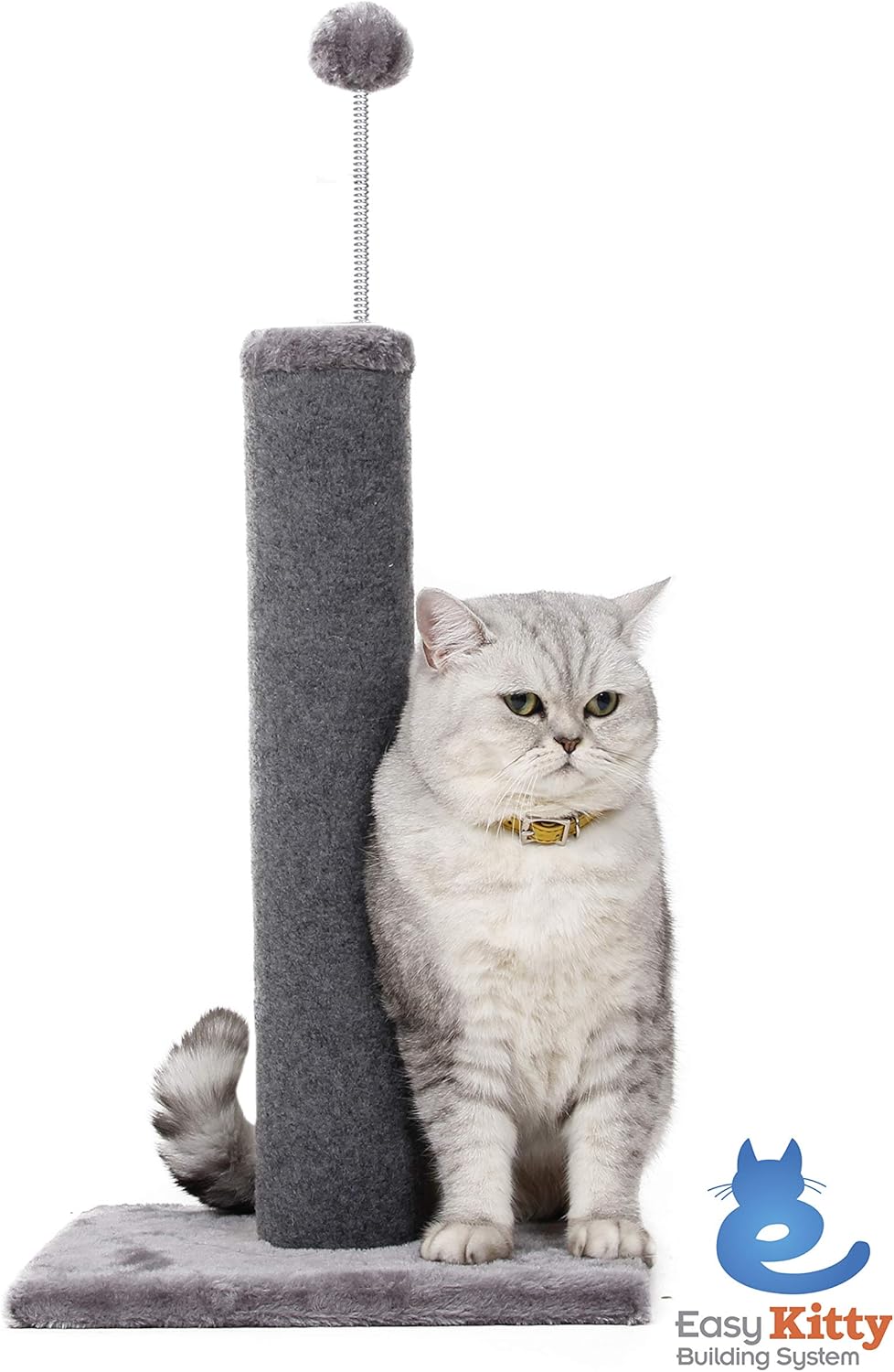 kitty litter solutions
