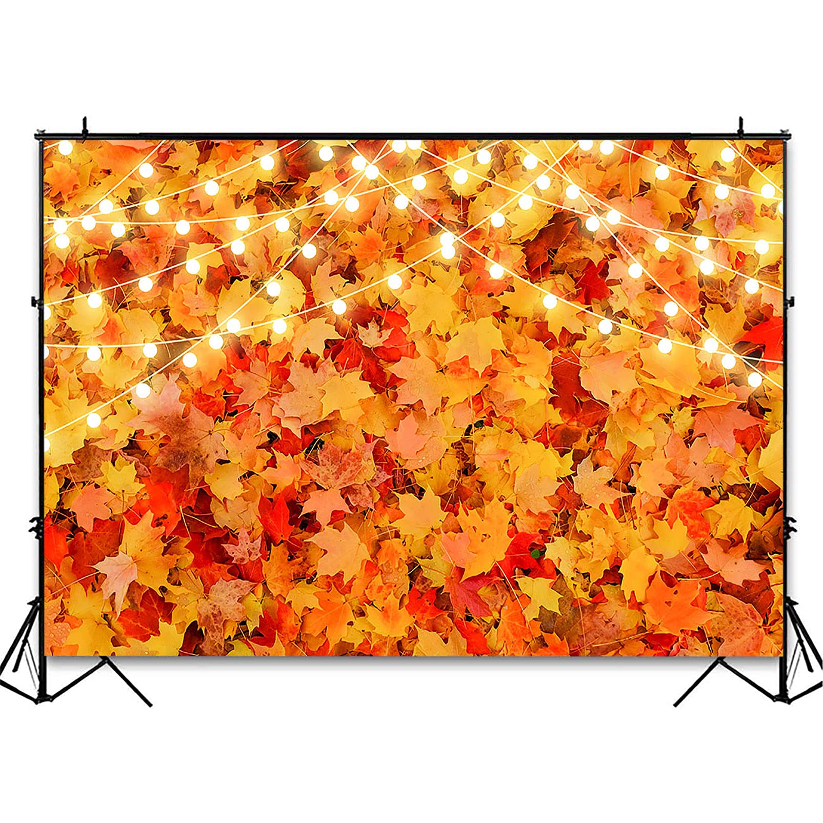 Avezano Fall Backdrop 8x6 FT - Autumn Maple Leaves Forest Photography Background