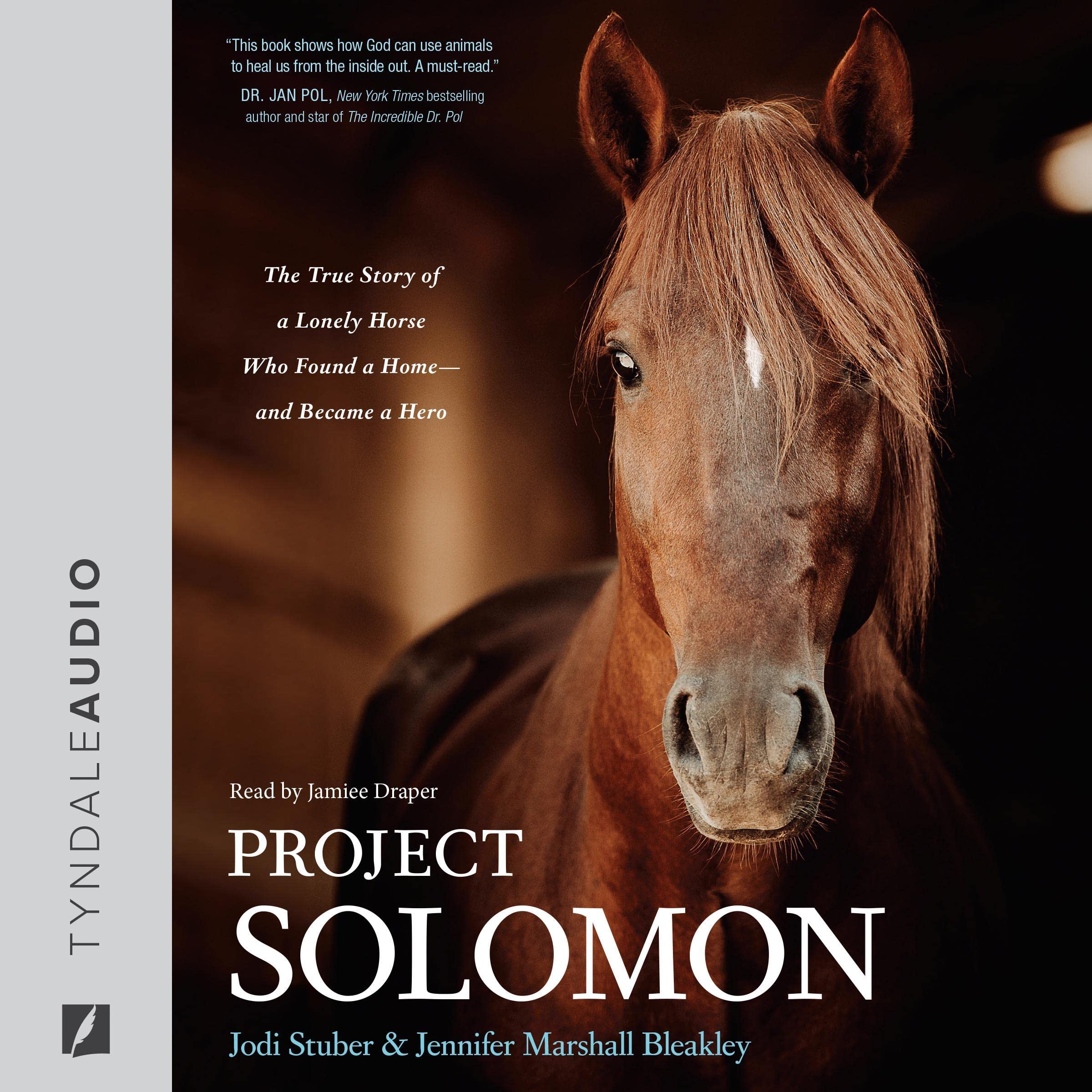 Cover art for Project Solomon