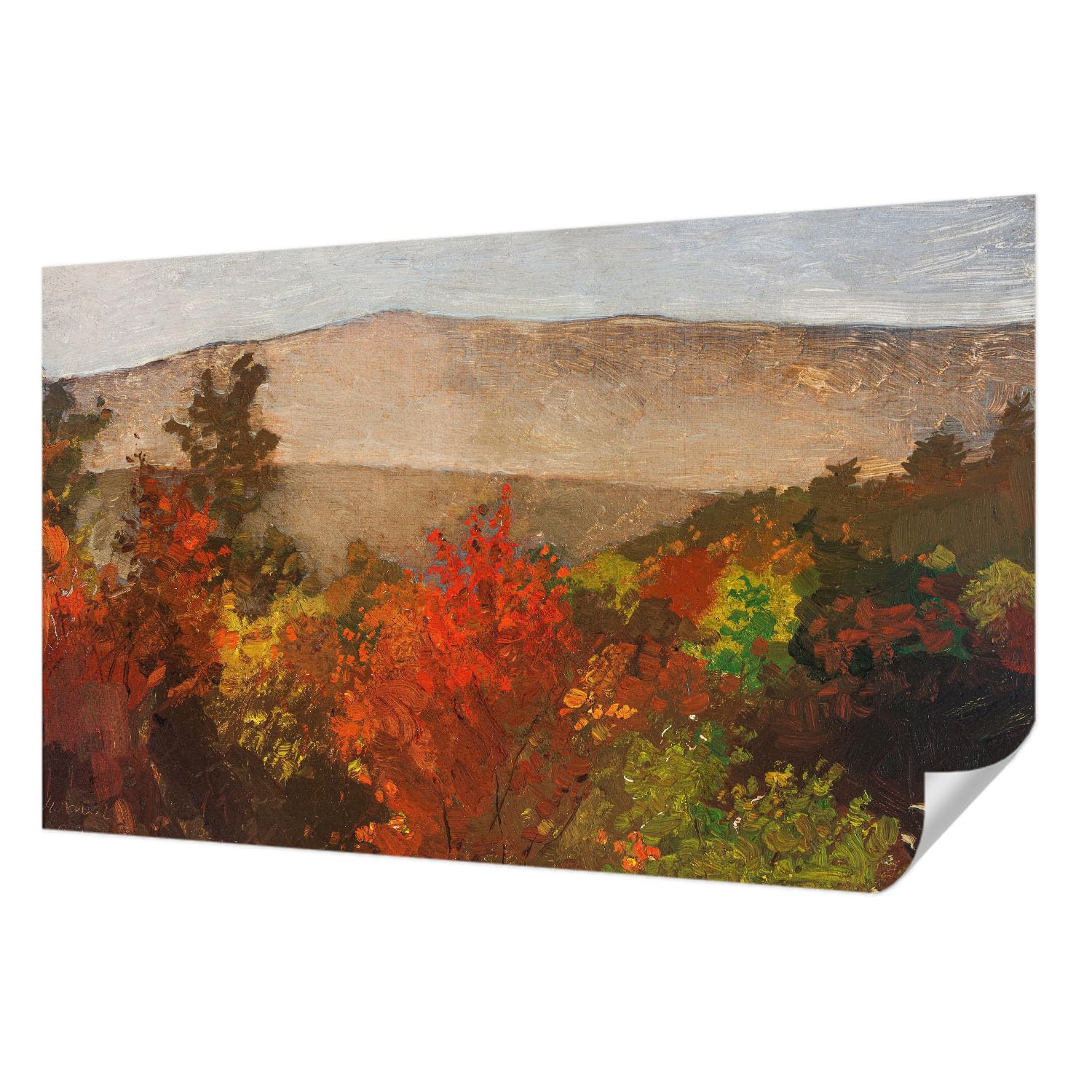 Papier Peint Panoramique Haute Qualité 416x254 cm Tulup Premium