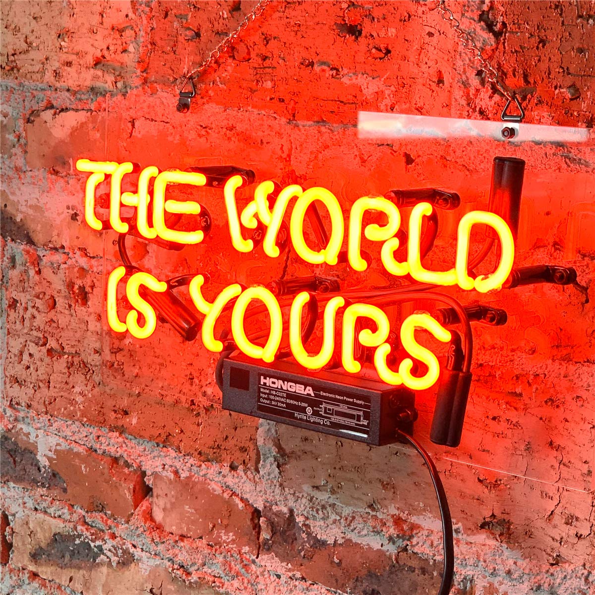 Neon Signs for Wall Decor The World is Yours Red Neon Sign Art Decorative Neon Lights for Bedroom, Kids Room,Girls, Beer Bar, Wedding, Party,Christmas Signs