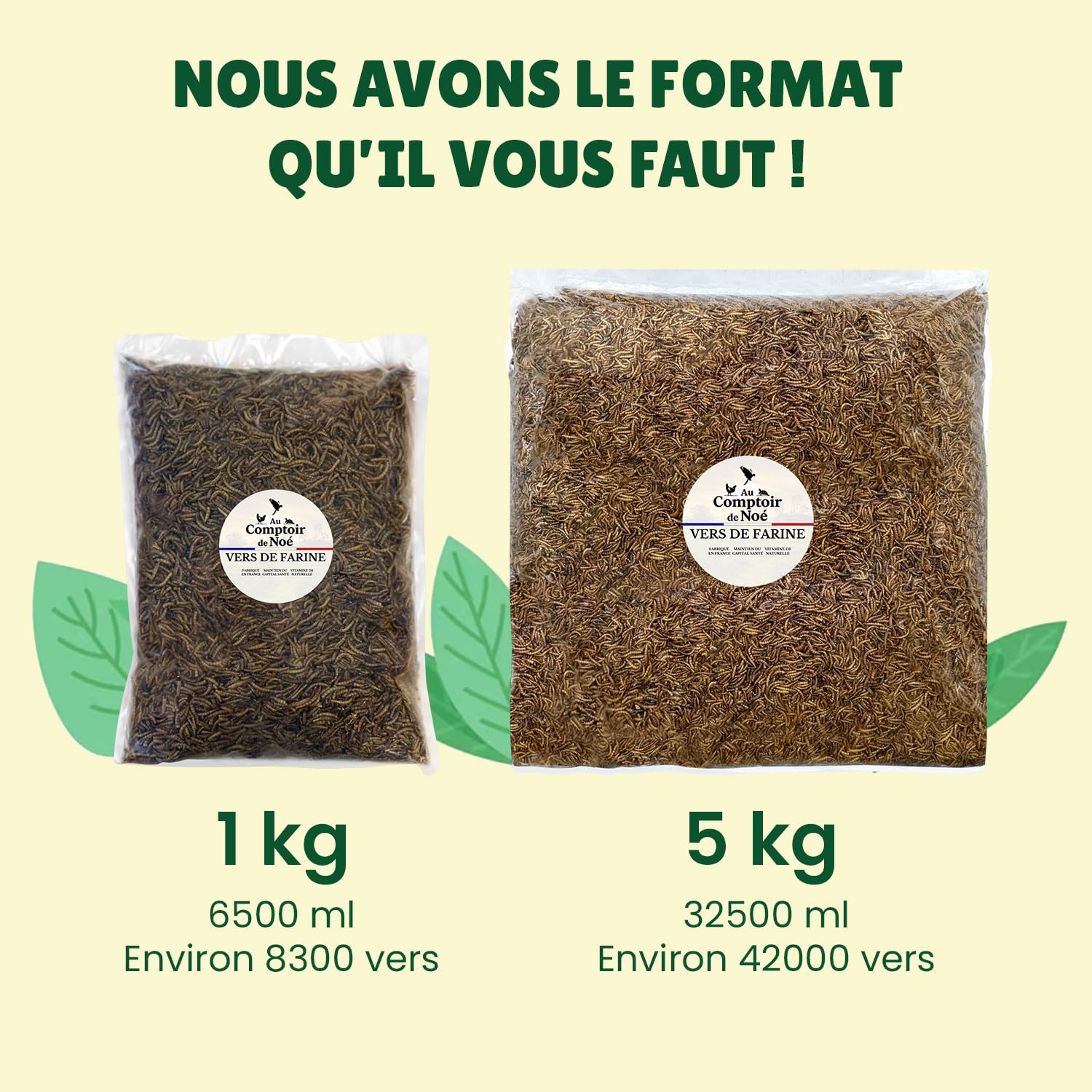 vers de Farine Séchés Français, 5kg (32,5L), 100% Naturel, Enrichis en Vitamines D3, Insectes Riches en Protéines et Bonnes Graisses, Nourriture Oiseaux Sauvages, vers de Farine Au Comptoir de Noé