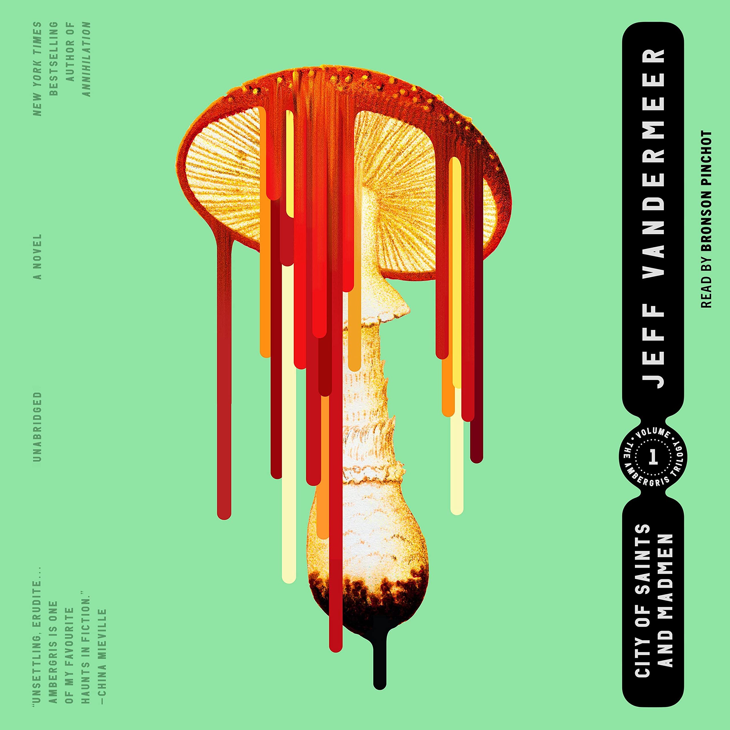 Cover art for City of Saints and Madmen