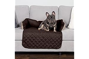 Essential Comfort for Your Feline: Discover Furhaven Pet Furniture for Cats