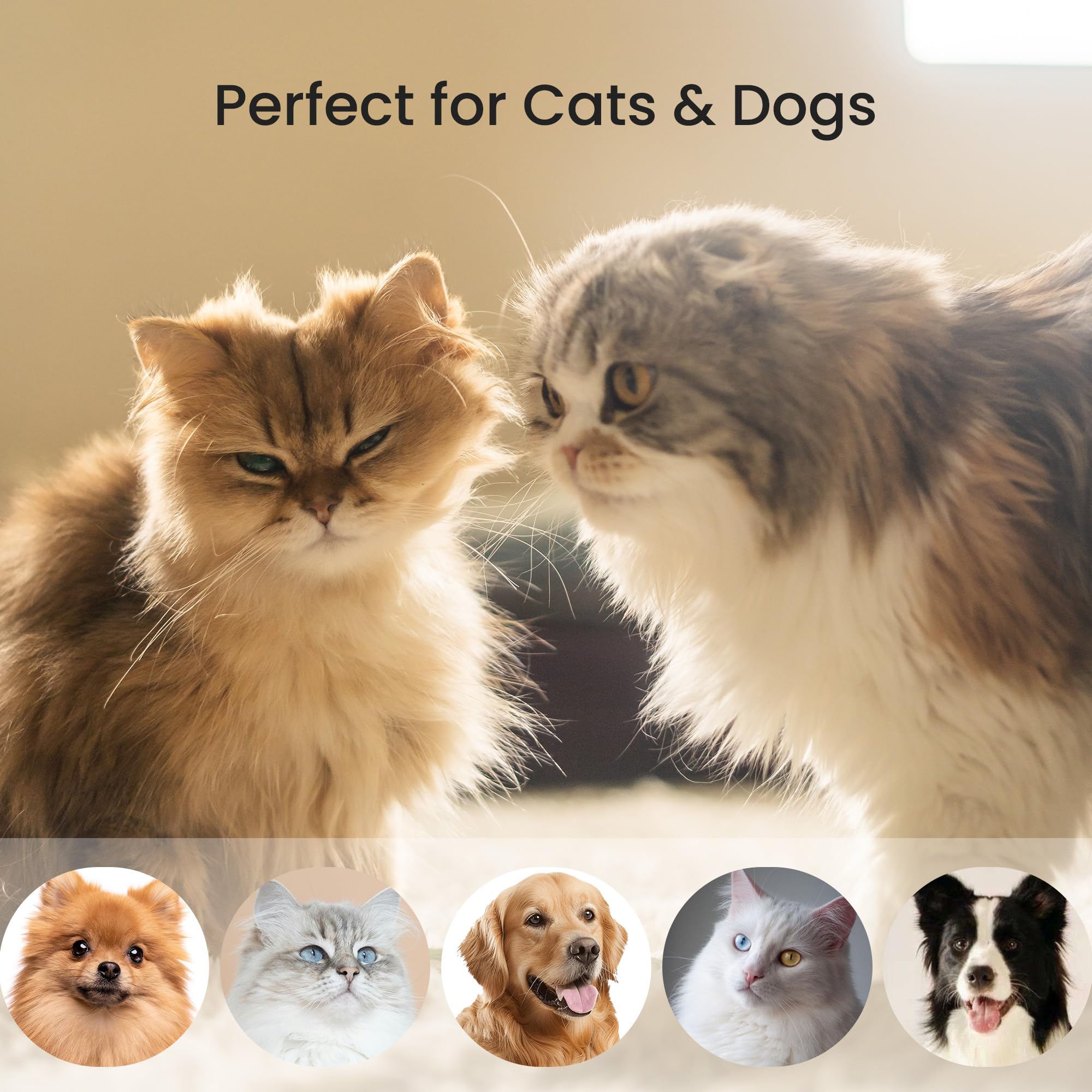 dancemoon PawRake, Brosse pour Chats et Chiens pour Mue et Démêlage du sous-Poil, Outil de Toilettage pour Animaux à Poils Mi-Longs et Longs, Sûr pour la Peau et Léger