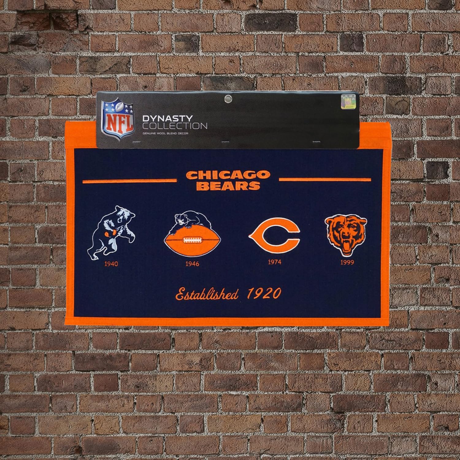 Amazon.com : RICO Chicago Football Bears Established 1920