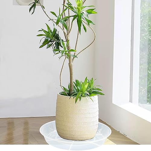 Miniatura 7 de Paquete de 6 bandejas de goteo de platillos para plantas, 4, 5, 6, 8, 9, 10, 12, 14, 16, 18 pulgadas, platillos de plástico resistente para macetas