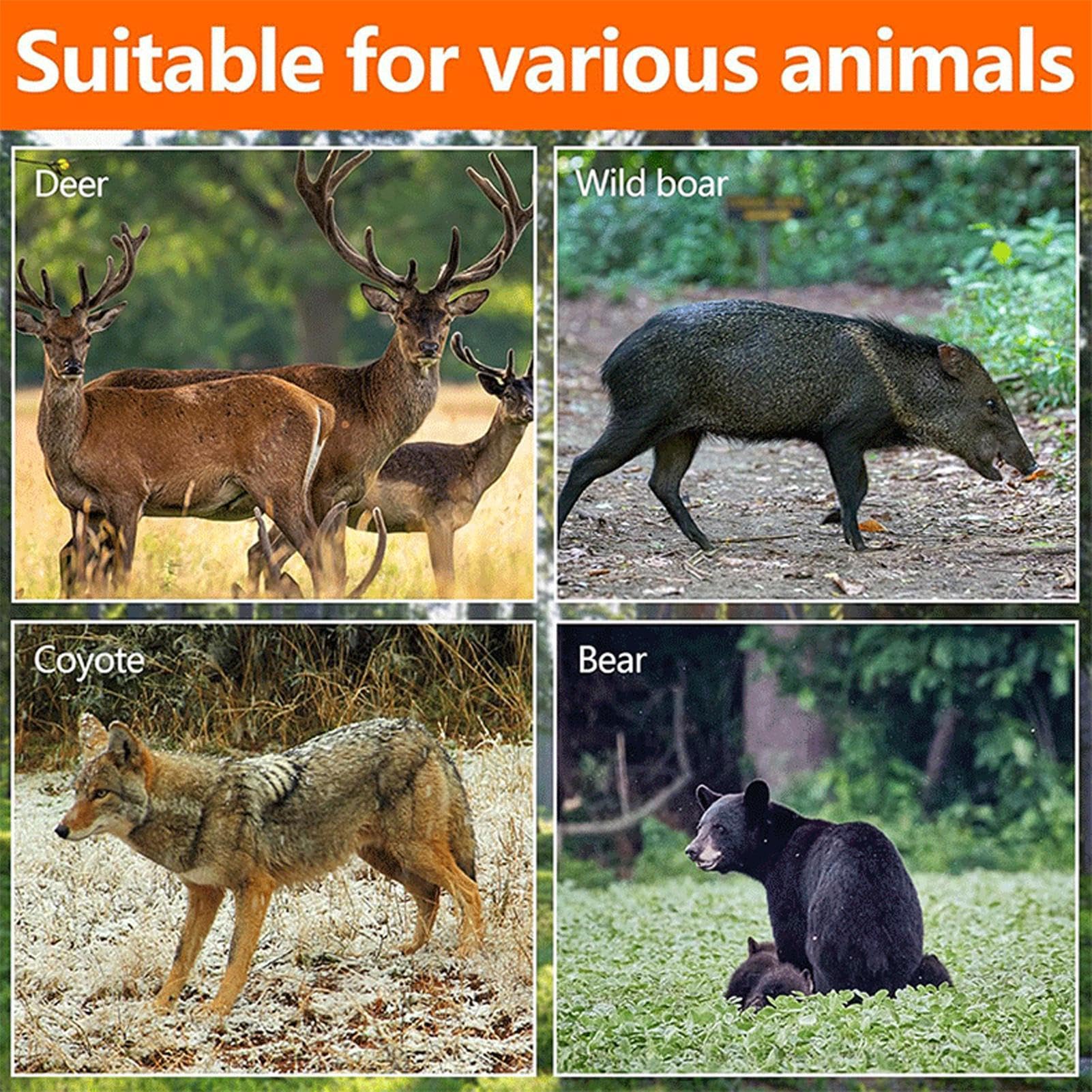 Traîneau de traction pour la chasse – Transport de cerfs très résistant avec harnais et corde, accessoires de chasse, traîneau de pêche sur glace pour homme en plein air