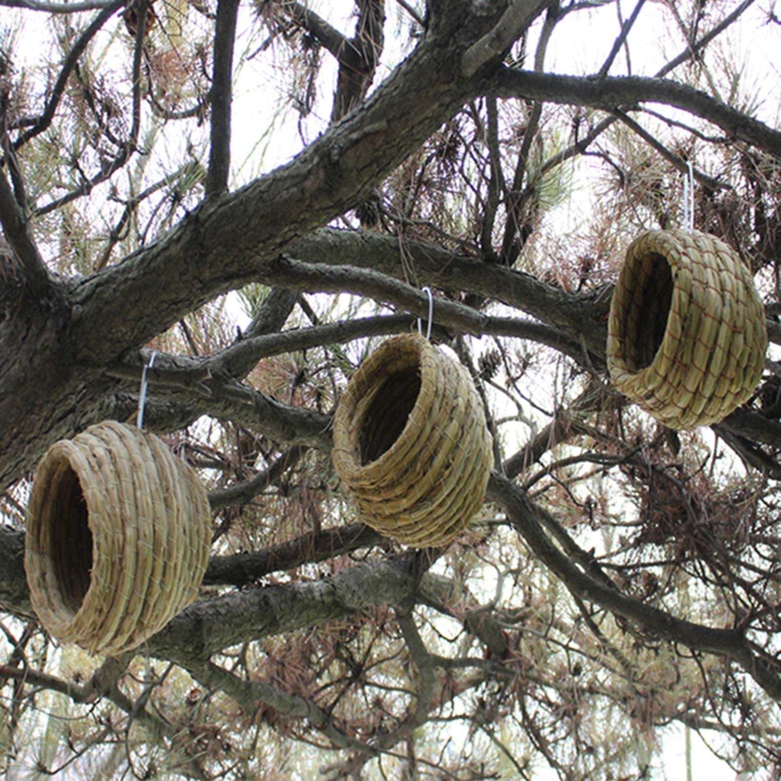 Casa para pájaros Nido de pájaros de Algas Marinas, casa para pájaros en Reposo para Mascotas, Cueva de cría, 4 Piezas (tamaño: 12-14 cm)