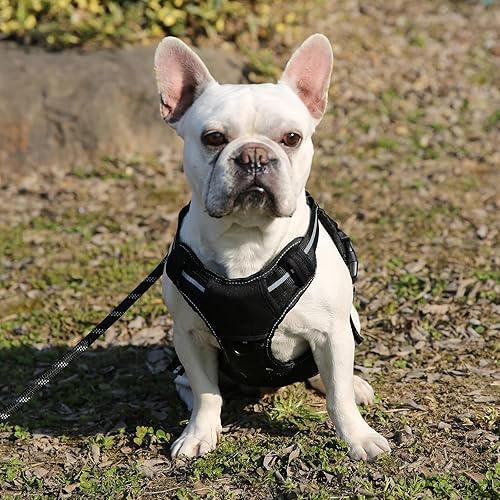 Miniatura 5 de Tienda Basics Arnés de chaleco Molle para perro de trabajo con clip frontal ajustable sin tirones, negro, talla M