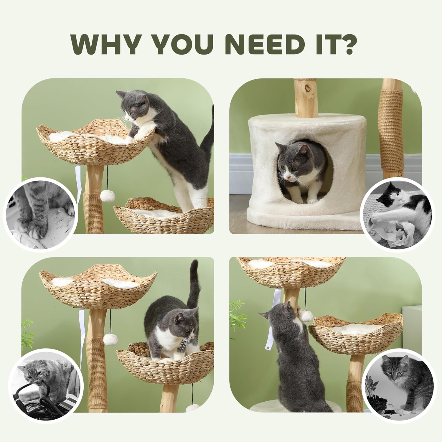 Collage showing cats using the cat tree for scratching, resting, and playing
