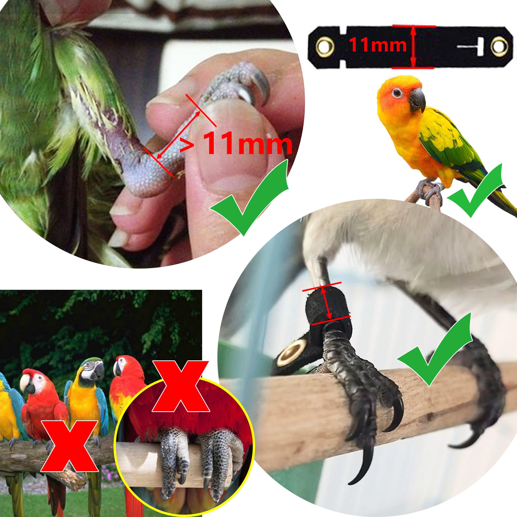 3m Guinzaglio per uccelli Imbracatura per Pappagallo Imbracatura per pappagallo per animali domestici e uccelli guinzaglio per attività Corda regolabile per addestramento al volo (A)