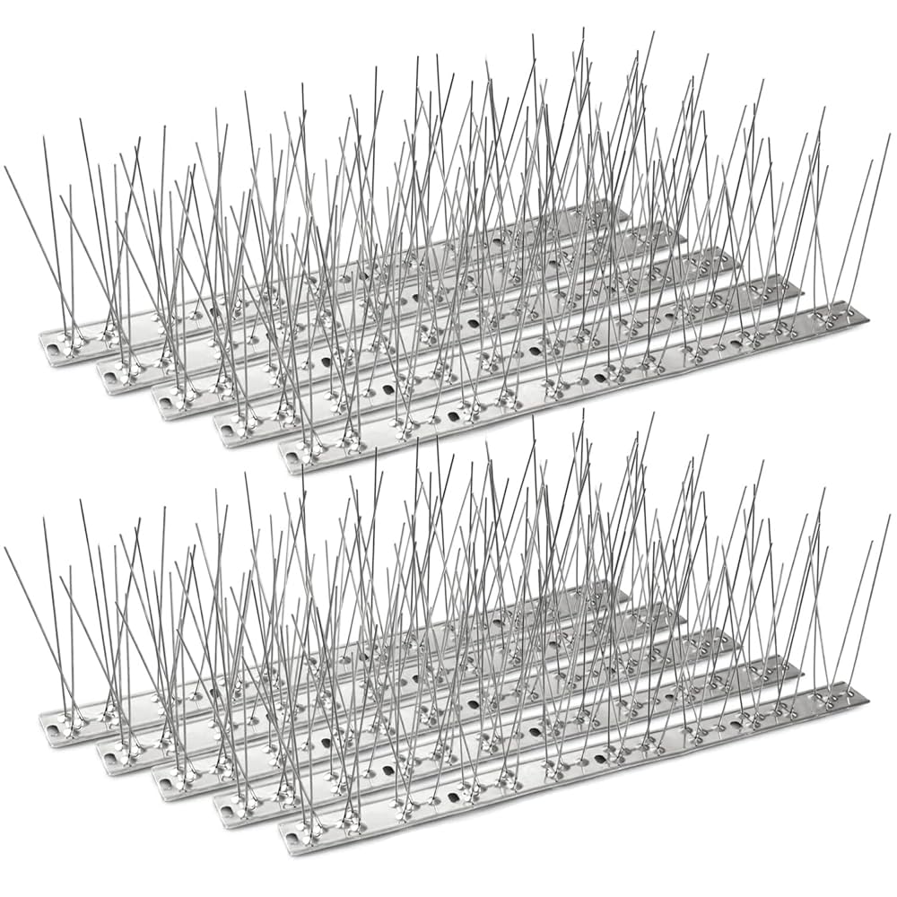 Amazon.com : C CRYSTAL LEMON Bird Spikes Stainless Steel