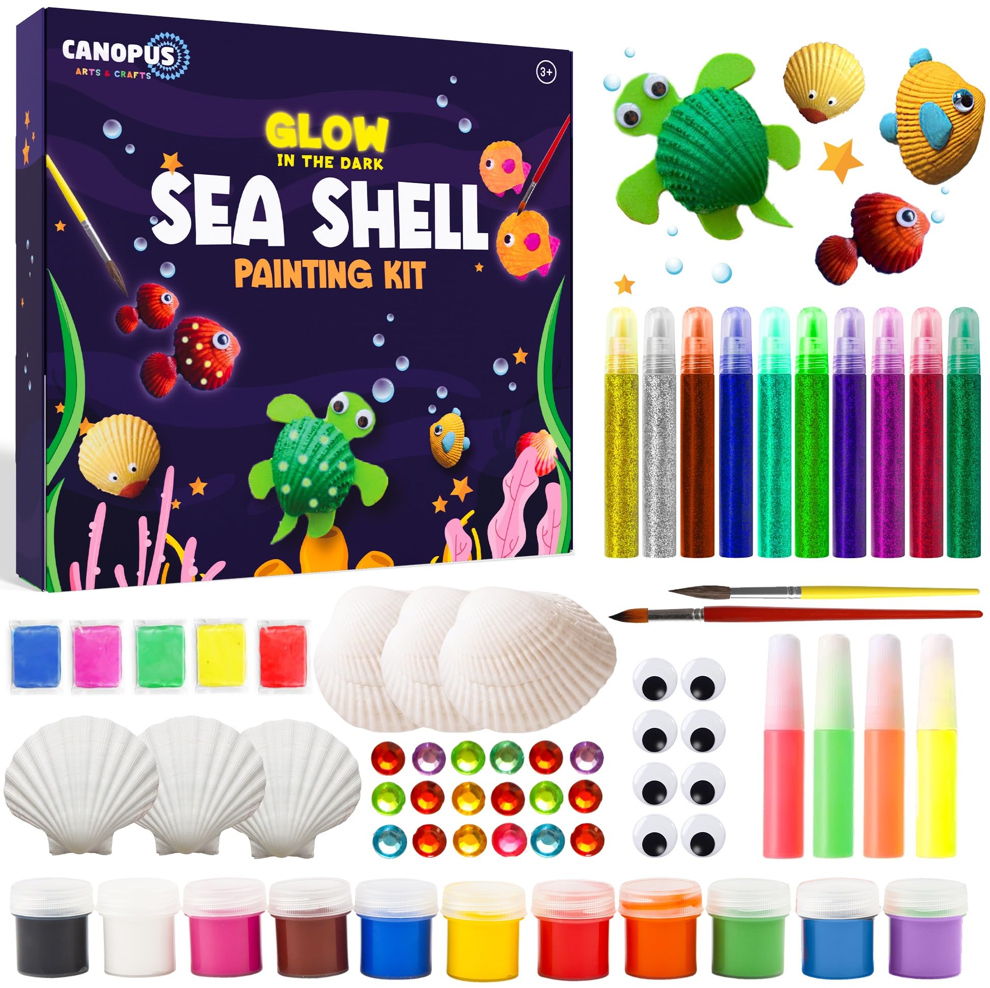 CANOPUSSea Shell Painting Kit Full Set Glow in The Dark, Arts & Crafts Painting Gifts for Boys Girls, DIY Creative Craft Activities Toys for Age 5 +, Birthday Halloween Christmas Gifts