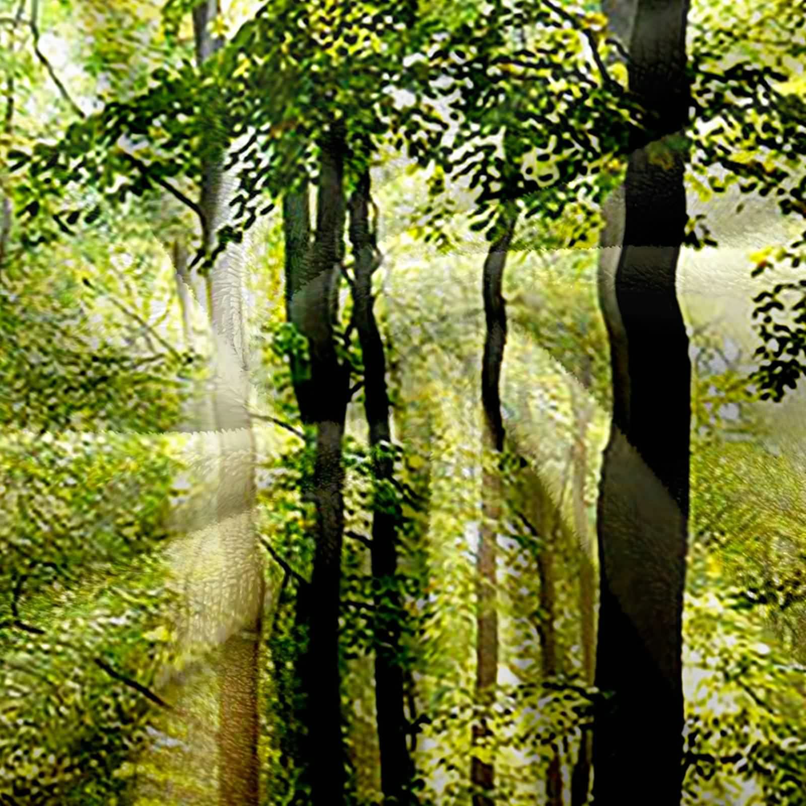 Aeici Couverture Polaire, Couverture Enfant Polaire Couverture 150x200 cm Soleil des Arbres Couverture Canapé Cadeau pour Adultes et Enfants