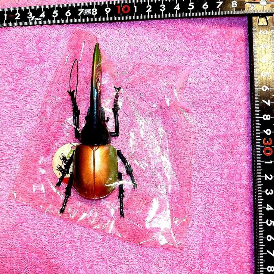 初期 レア 3機〈ネプチューン／カブトムシ／オオクワガタ〉カブトボーグ 初期 レア 3機〈ネプチューン／カブトムシ／オオクワガタ