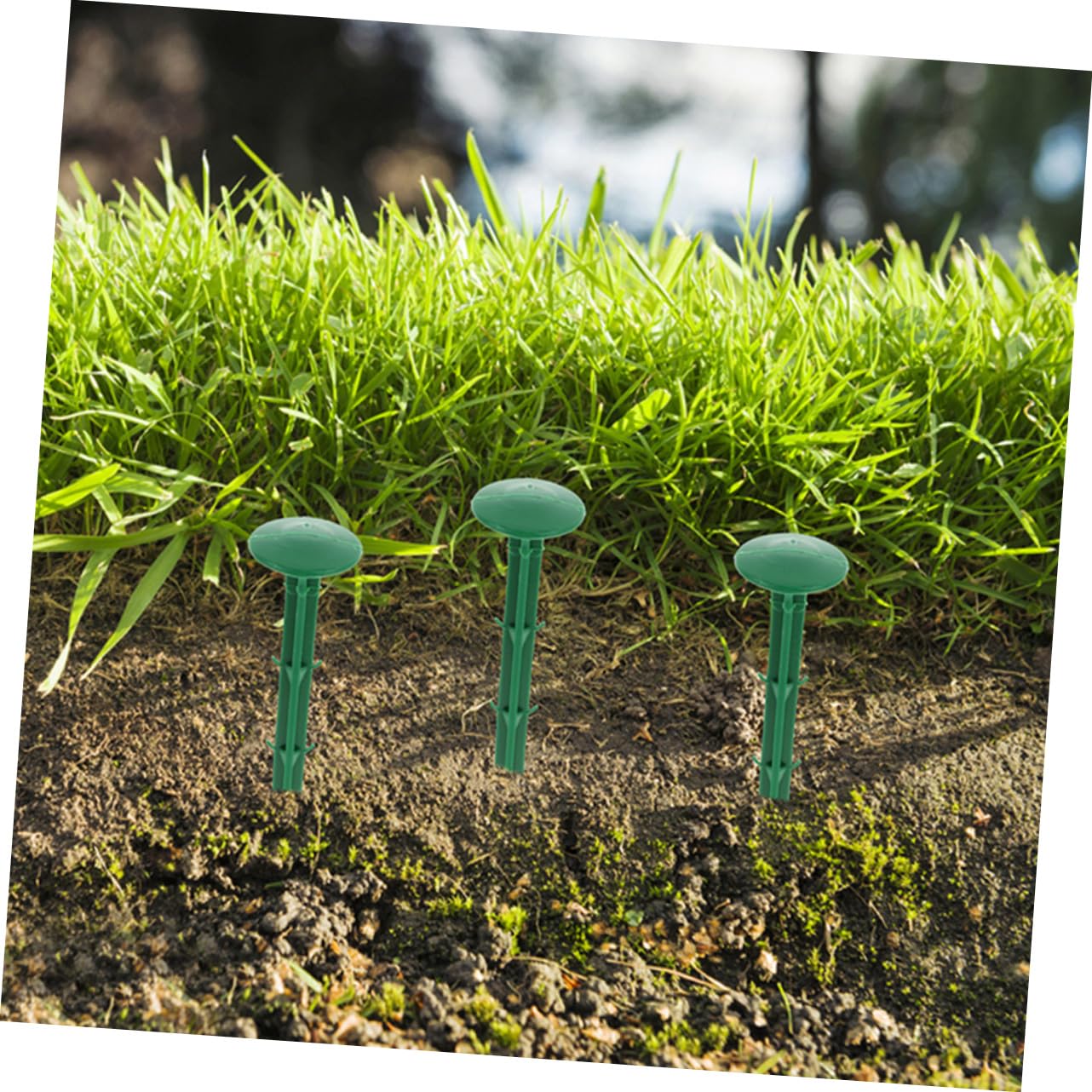 Piquets de Jardinage en Plastique Vert 150 Pièces pour Fixation