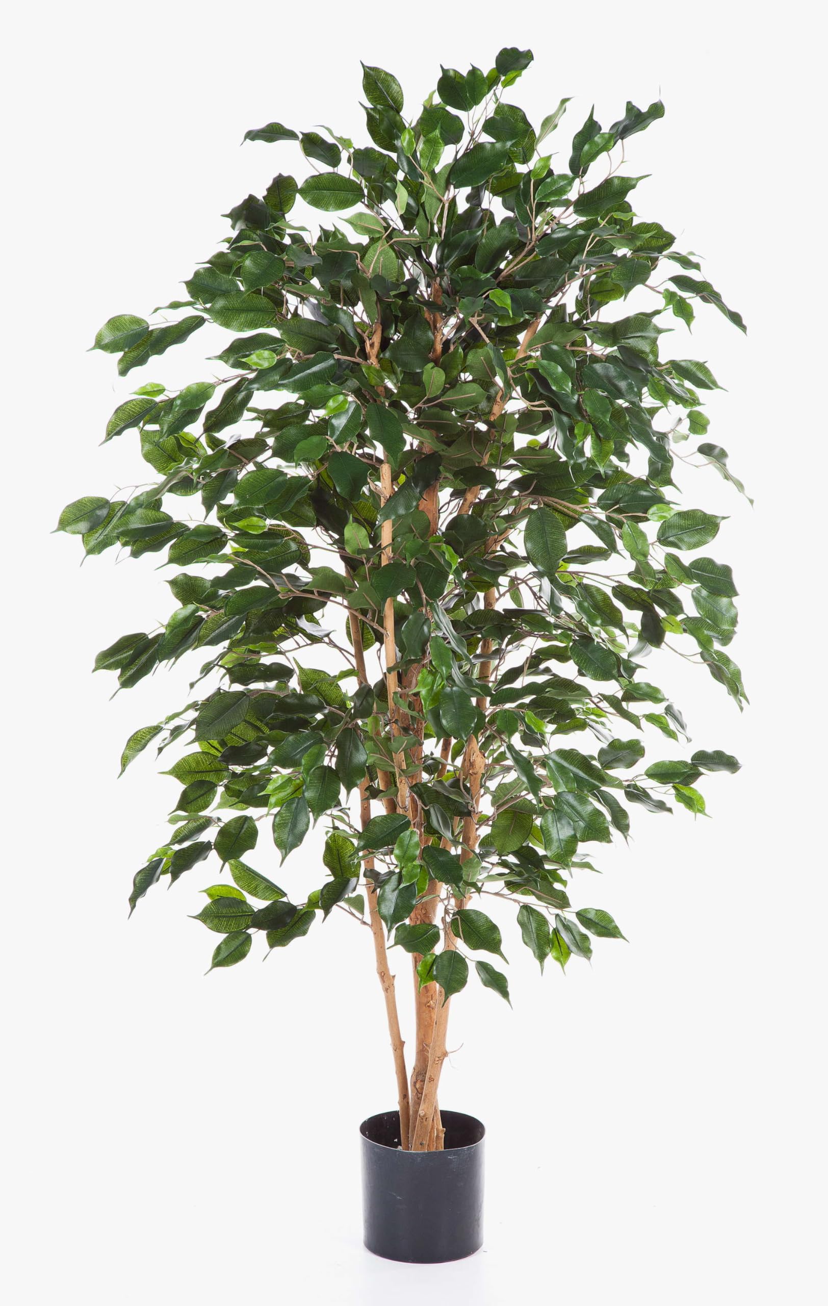 artplants.de Ficus Exotica Artificiale, in Vaso, 880 Foglie, Verde, 150cm - Pianta Tropicale/Ficus Decorativo