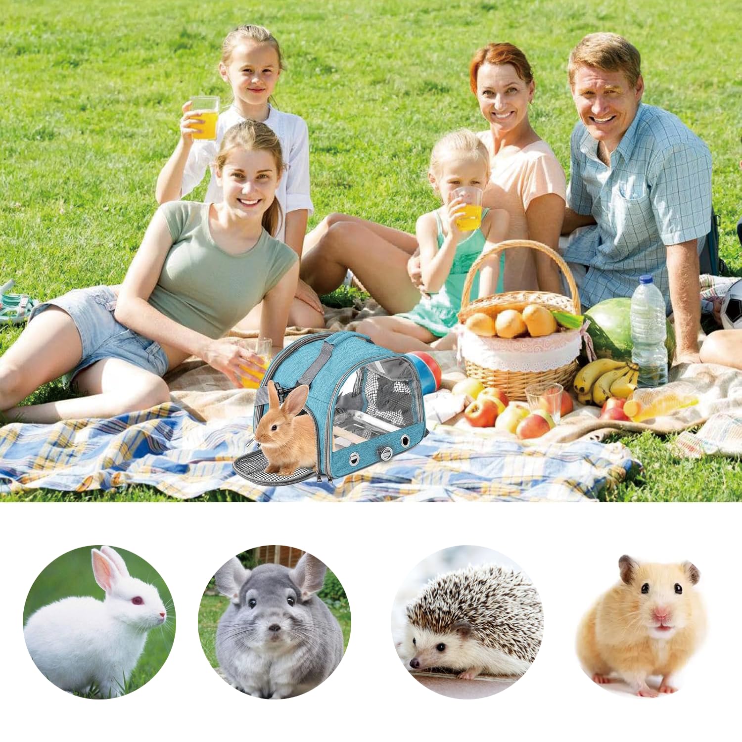 Jaula De Viaje para Pájaros con Percha Y Bandeja, Bolsa De Transporte para Pájaros, Transportador Portátil para, Bolsa De Viaje para Loros, para Periquitos y Loros Pequeños, Azul