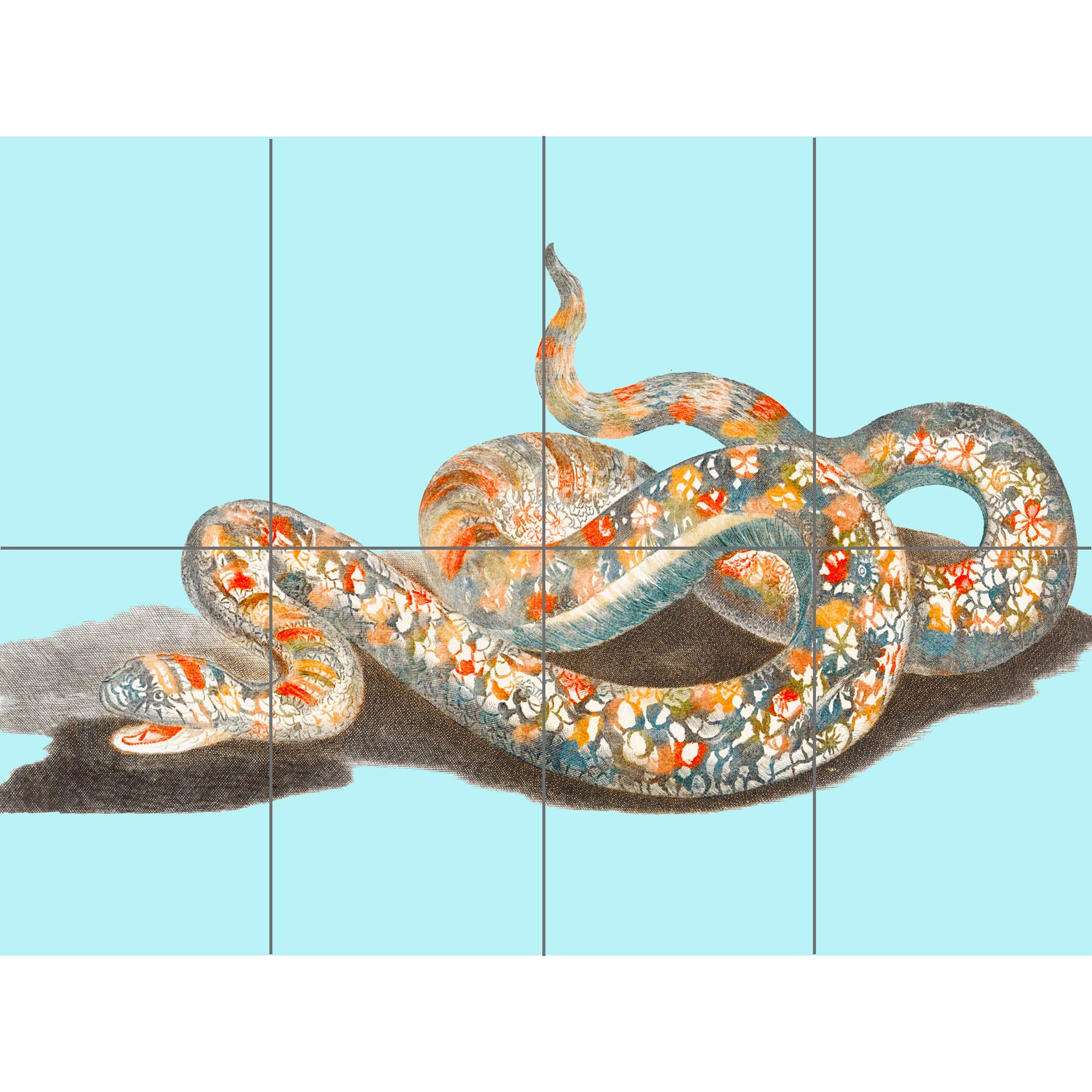 Artery8 Colourful Snake Johan Teyler XL Giant Panel Poster (8 Sections)