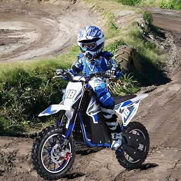 Mini Motorcycle,Stylish and Powerful Kids Dirt Bike with 36V 9A Battery-Stable Circuit System for Long Battery Life and User Safety,Speed: 25KM/H,6-14years