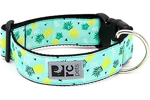 RC Pets Pineapple Parade Dog Collar