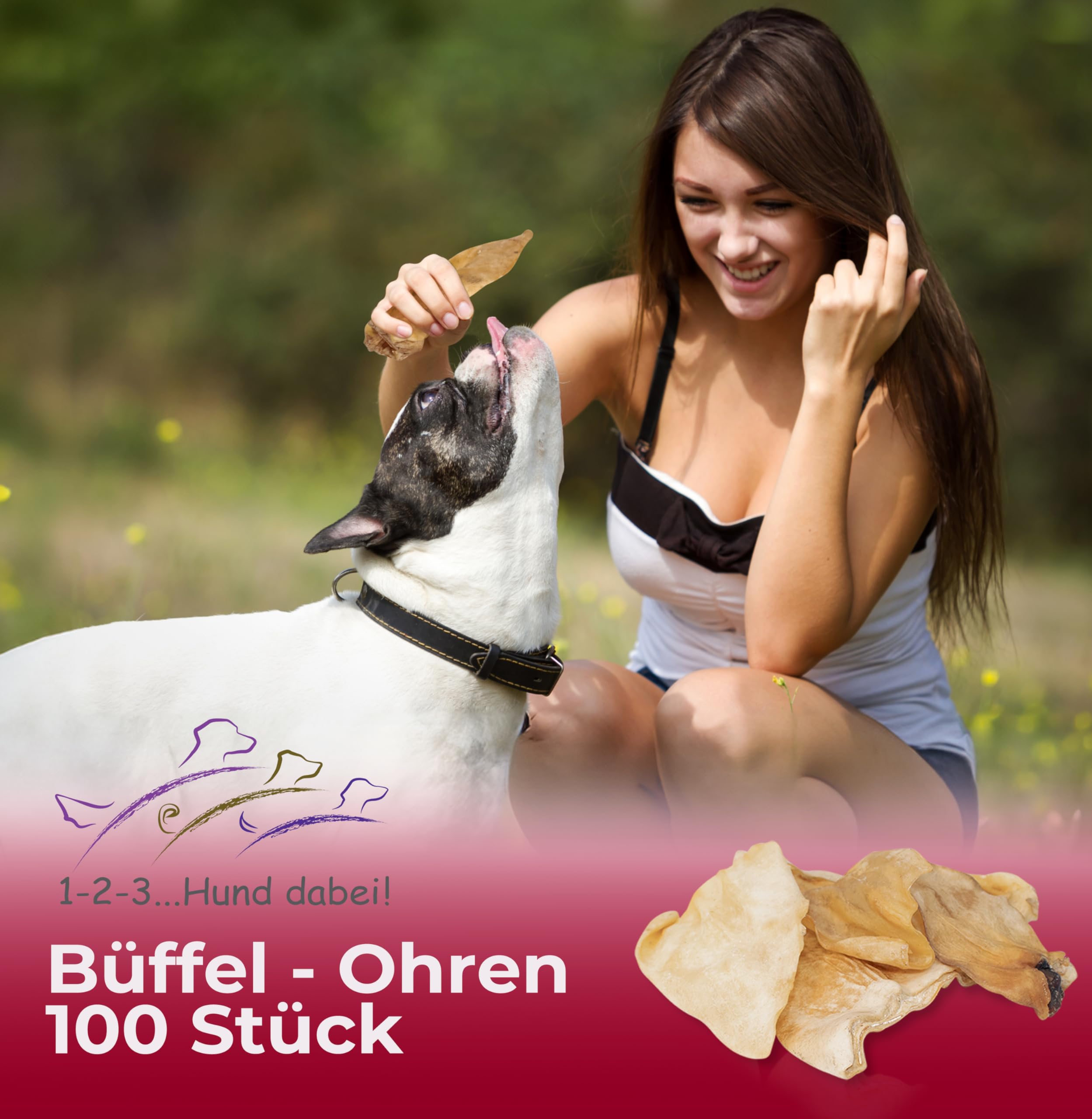 Oreilles de buffle 100 pièces - Snack maigre naturel pour chien, faible en calories