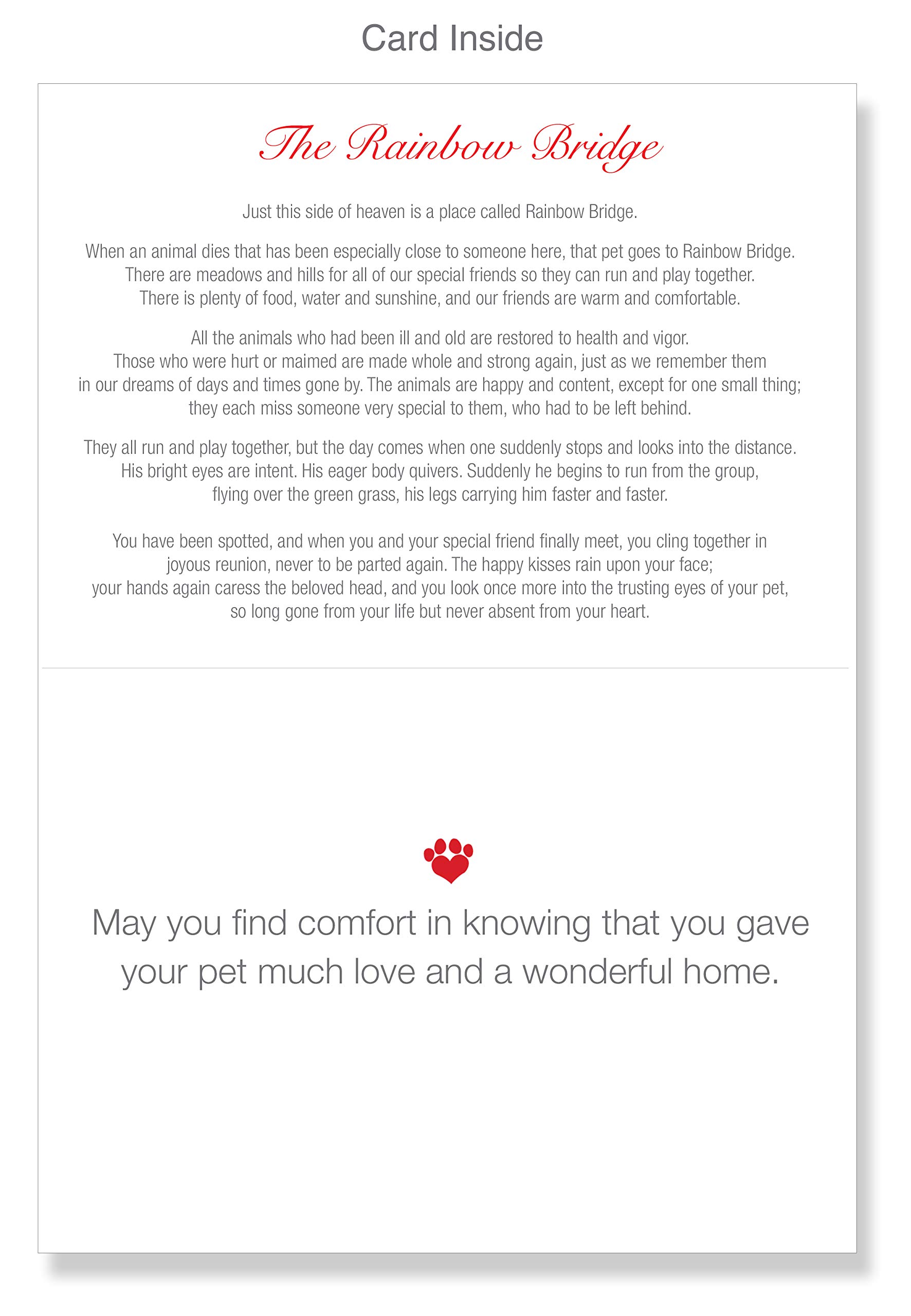 Amazon.com : Pet Sympathy Card Rainbow Bridge Bereavement Condolence for Dog,  Cat, Rabbit Qty. 2 - 5”x7” cards with envelopes (2 Cards & Envelopes from  TLC) : Office Products