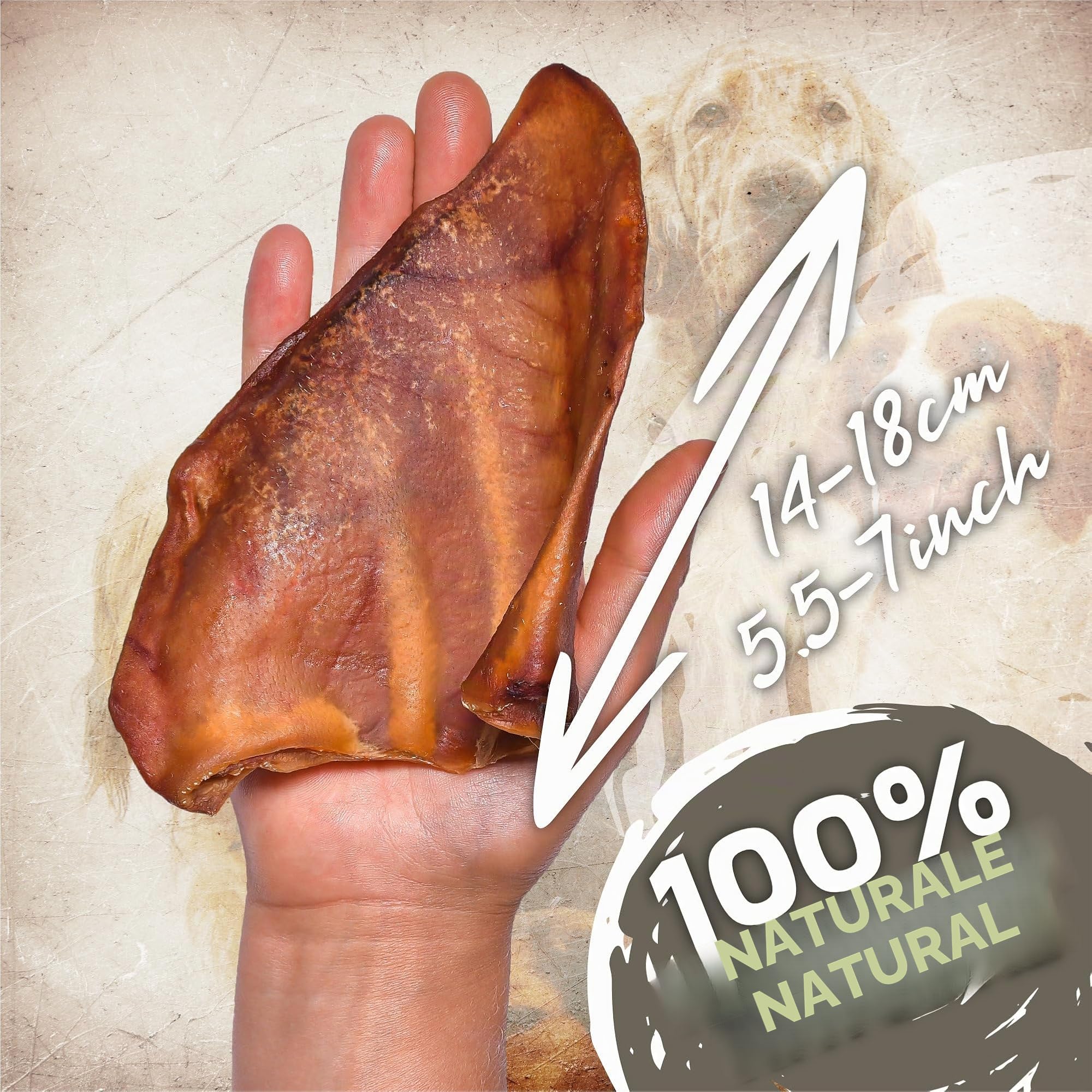 Orecchie di maiale per cani 20 pezzi (800g) | Snack naturali di orecchie di maiale intere essiccate | 100% naturali | Masticazione duratura | Senza cereali | Ideali per cani piccoli e grandi