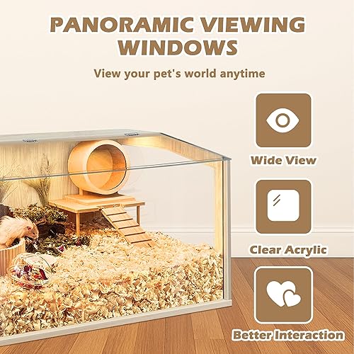 Miniatura 5 de Prolee Hamster Cage Chewproof, Large Hamster Cages and Habitats 32 Inch Guinea Pig Cages Openable Top with Acrylic Sheets Solid Built, 32