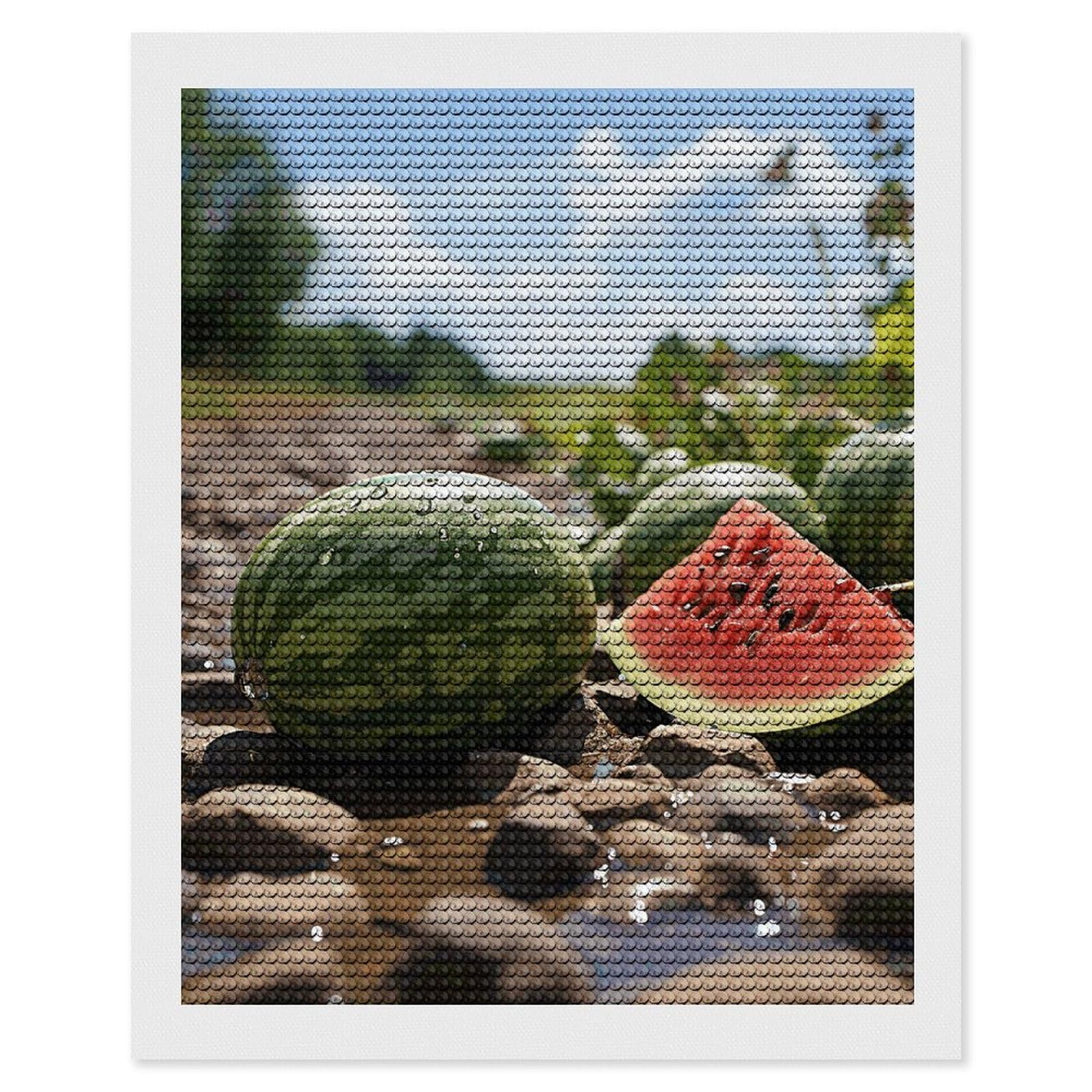 Diamond Painting Kits for Adults - DIY Diamond Art Kits for Beginners - Full 5D Paint Drill Diamond Dots Paintings- Watermelon on The Ground Diamonds Pictures Gem Art And Craft Wall Decor 16"x20"