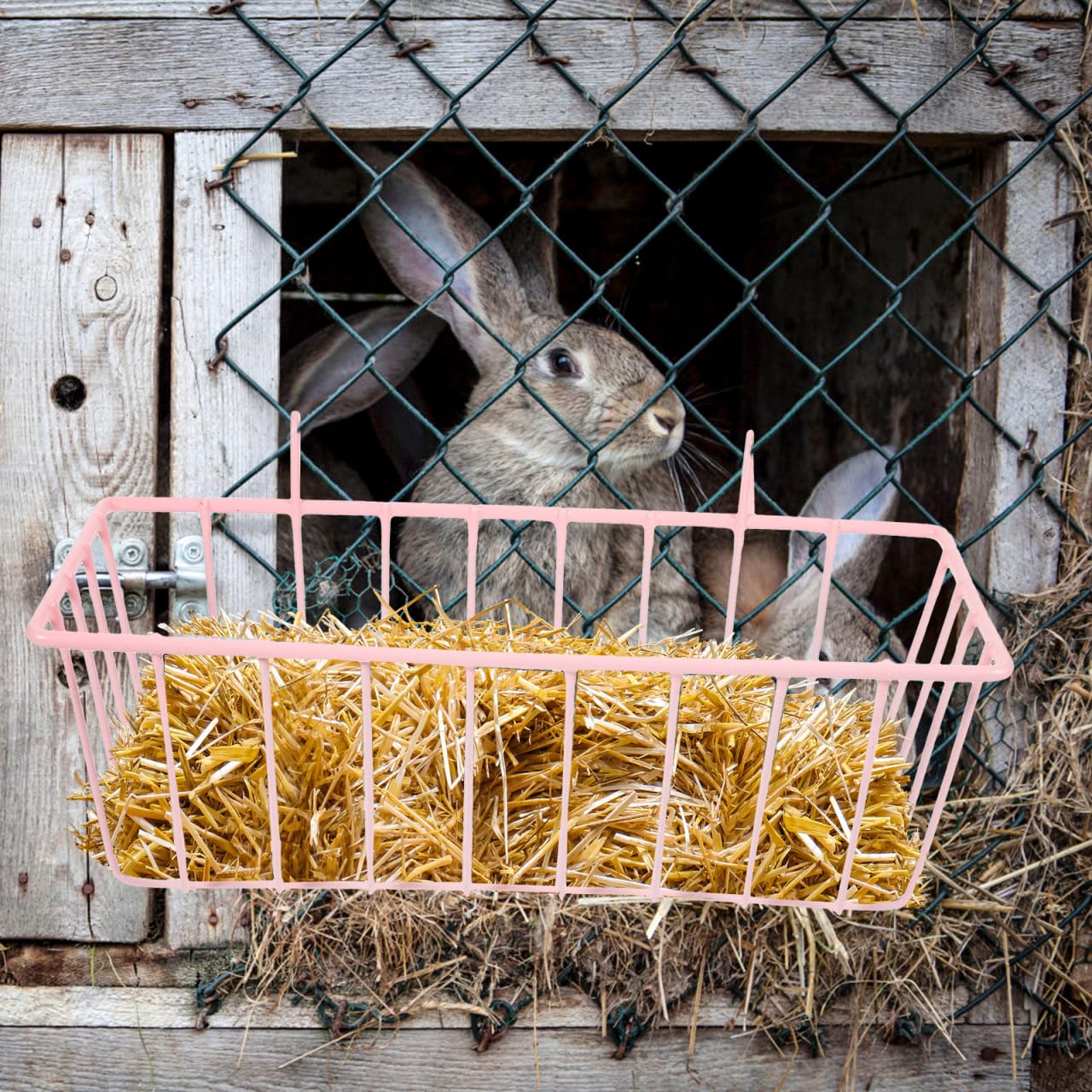 iplusmile Rabbit Hay Feeder: Metal Hanging Hay Racks Large Capacity Feeder for Guinea Pig Chinchilla Bunny and other Small Animals,Pink,23.5cm × 10 cm - Image 3