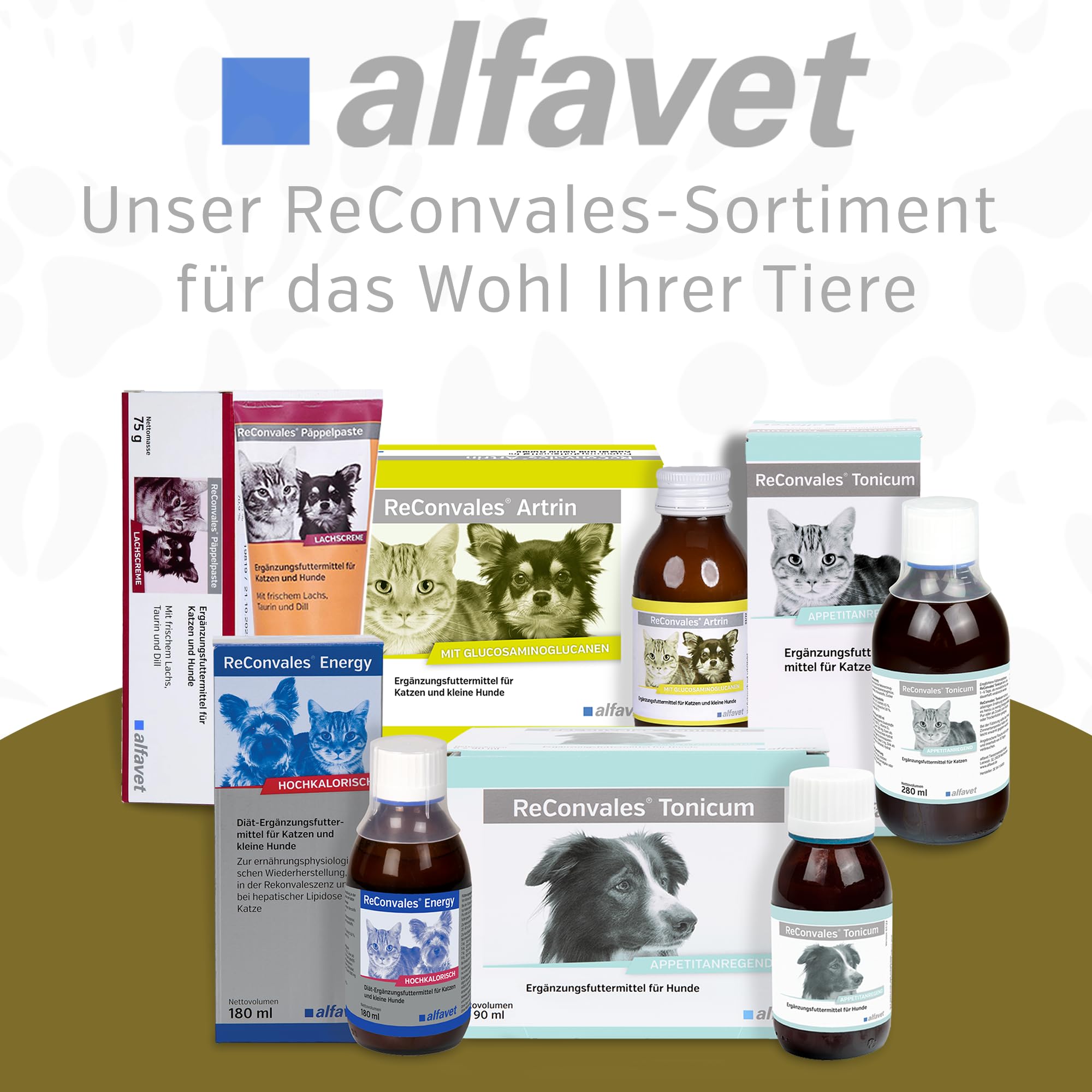 Alfavet, ReConvales Gastro Balance dla kota i psa, do pielęgnacji błony śluzowej żołądka z regulatorem kwasowości, pasza uzupełniająca, 3 x 90 ml