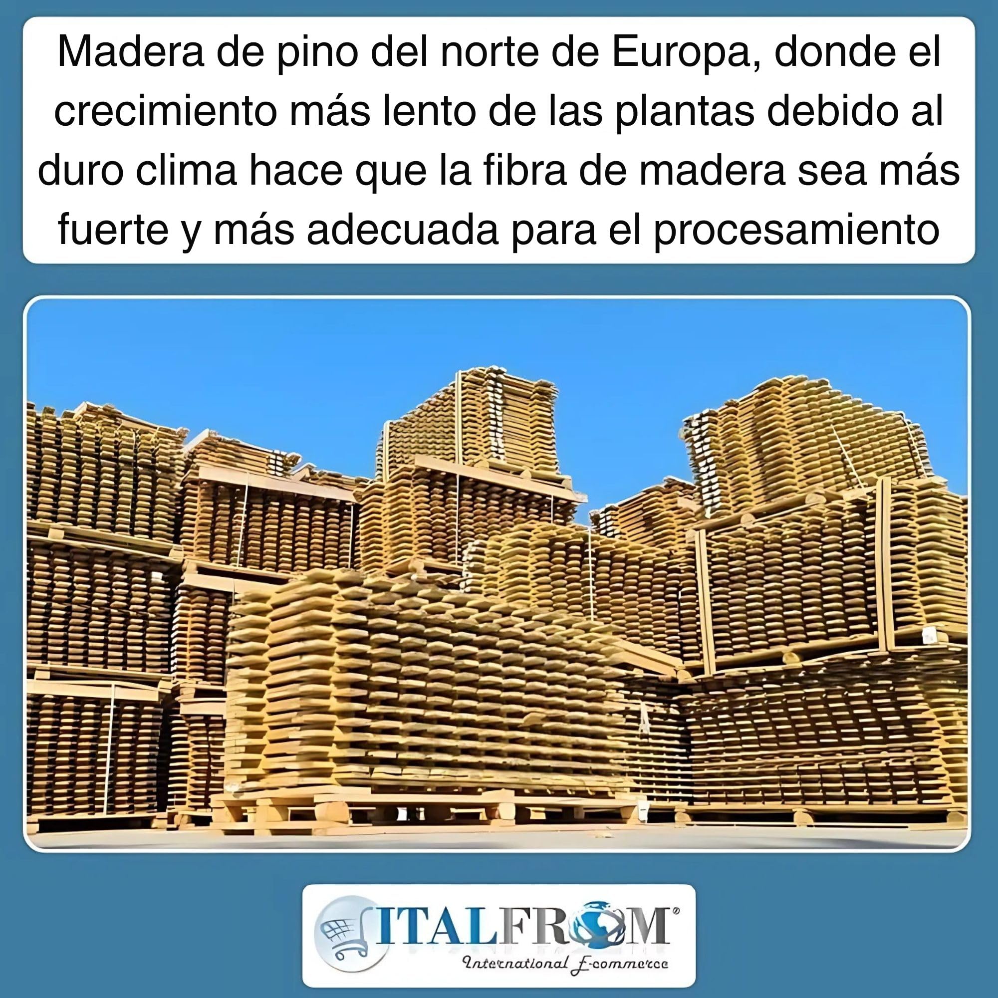 ITALFROM - Valla Jardin Exterior Madera de Pino (200x80) Cerramiento Jardin Exterior Paneles Fabricado en Material Sólido y Robusto Impregnado en Autoclave, Pintable