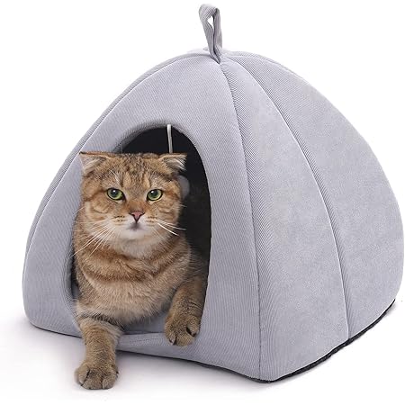 foldable cat bed