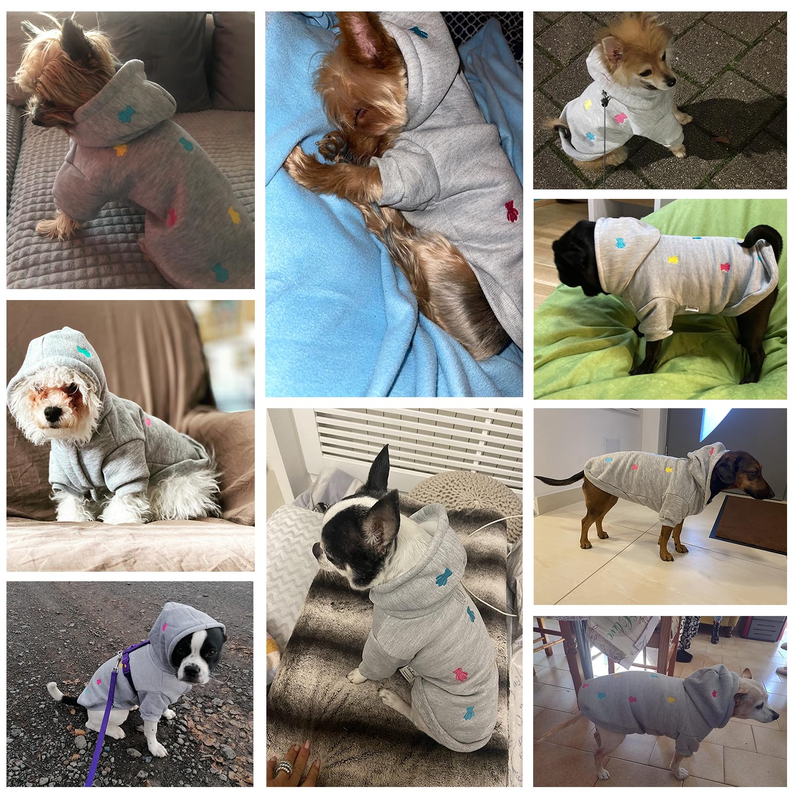 LeerKing Sweats à Capuche pour Chien Chaud Sweatshirt en Coton Chiot Vêtement pour Moyen Petit Chien Chat Gris XXS