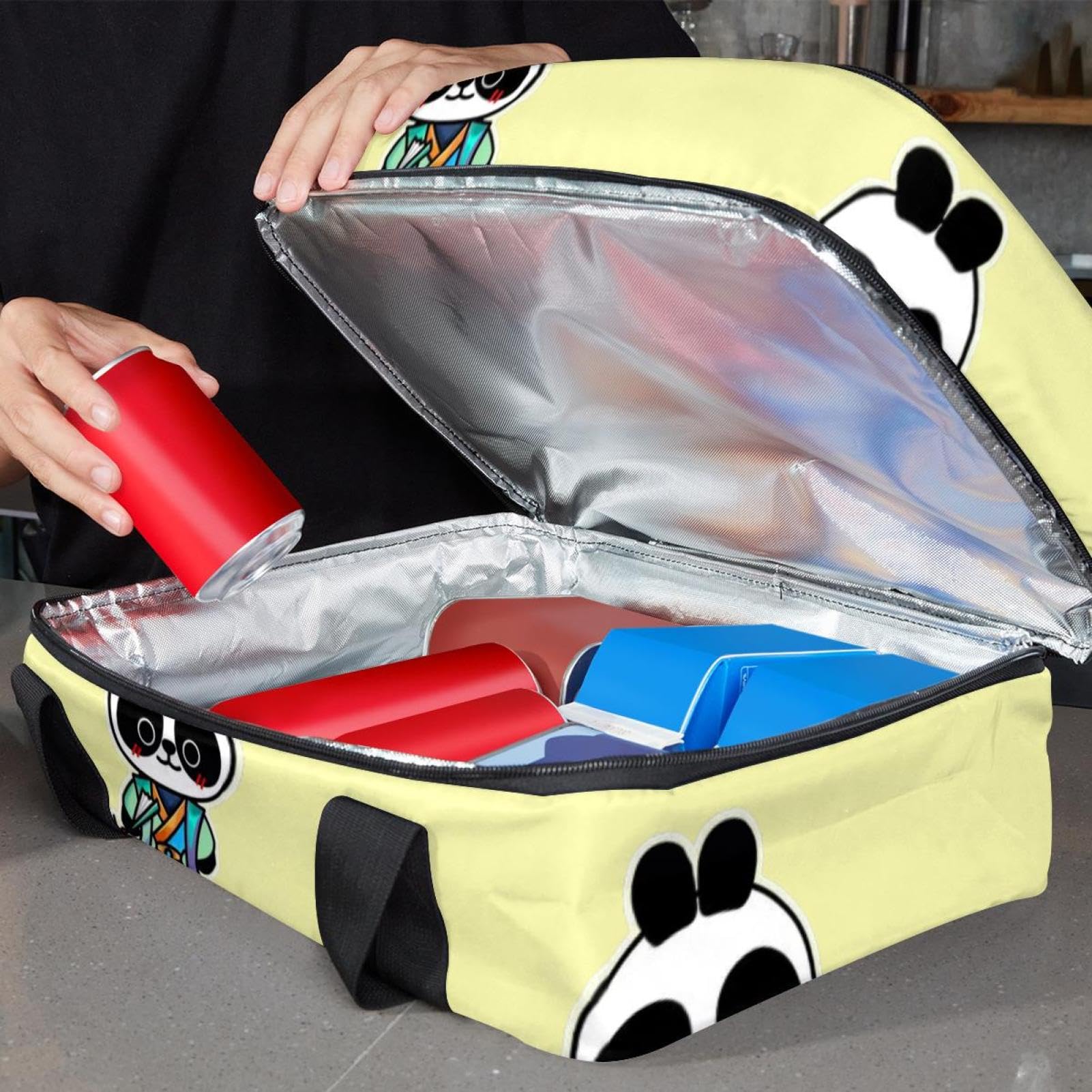 Grand sac à déjeuner isotherme pour homme et femme, double couche, étanche, étanche, réutilisable, sac fourre-tout pour le travail, l'école, le pique-nique, la plage, le camping, les voyages, motif