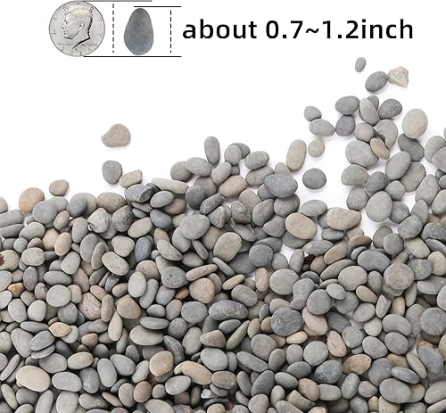 Miniatura 4 de CJGQ Rocas negras de 18 libras para plantas, rocas decorativas de río para suculentas, cactus jardín, paisajismo al aire libre, guijarros de playa