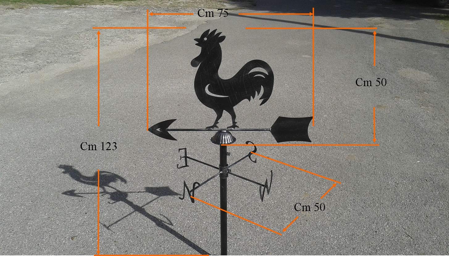 Generico Banderuola Gallo Segnavento in Ferro Battuto con Punti Cardinali cm. 125 x 75