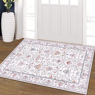 OLOLOHOME 2x3 Vintage Small Entryway Rugs Doo...,