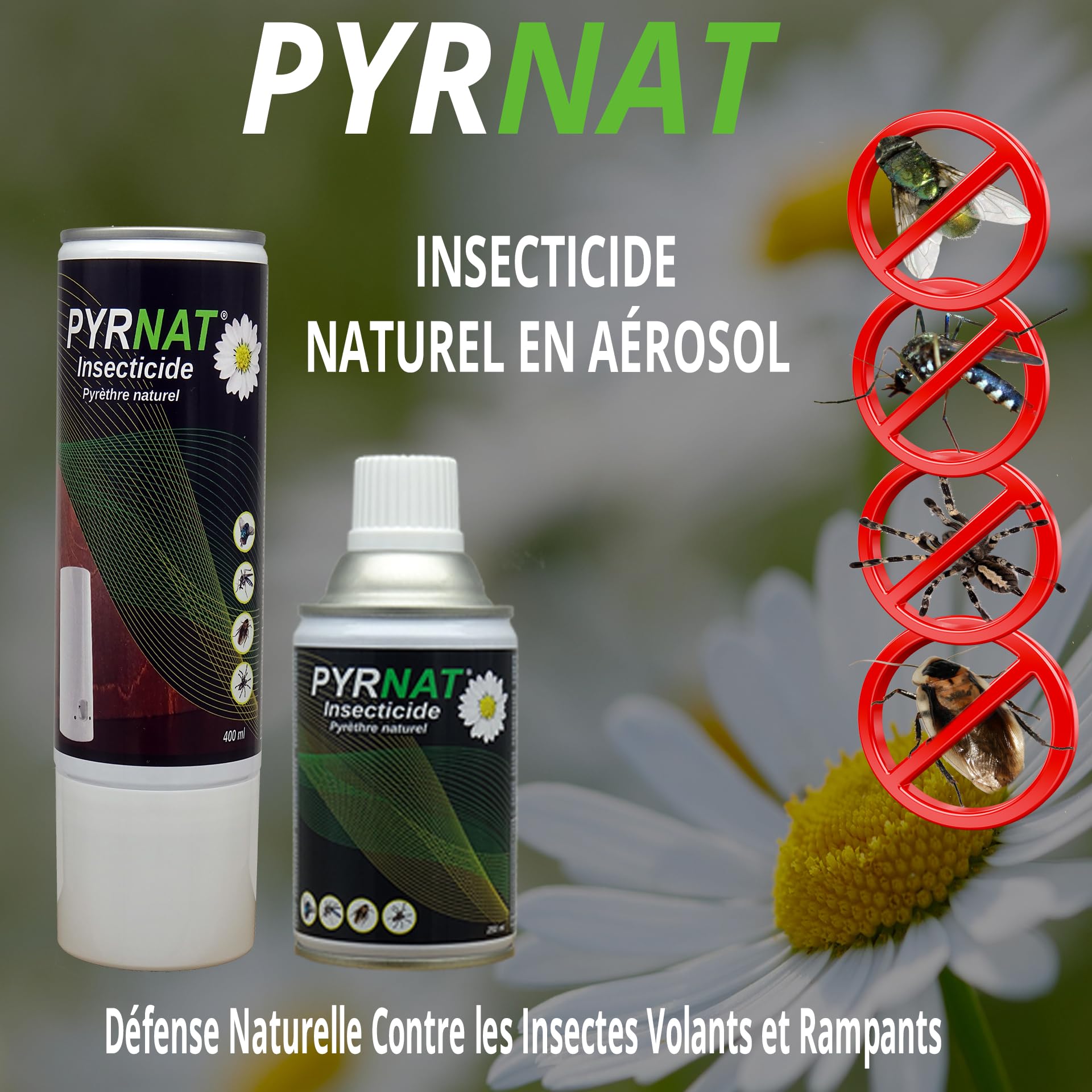 Insecticide 6x250ml au Pyrèthre avec Diffuseur Automatique (Noir) Anti-mouches, Moustiques, Punaise de Lit Efficace contre les insectes volants et rampants. (PYR_6_APRD_07_Noir)