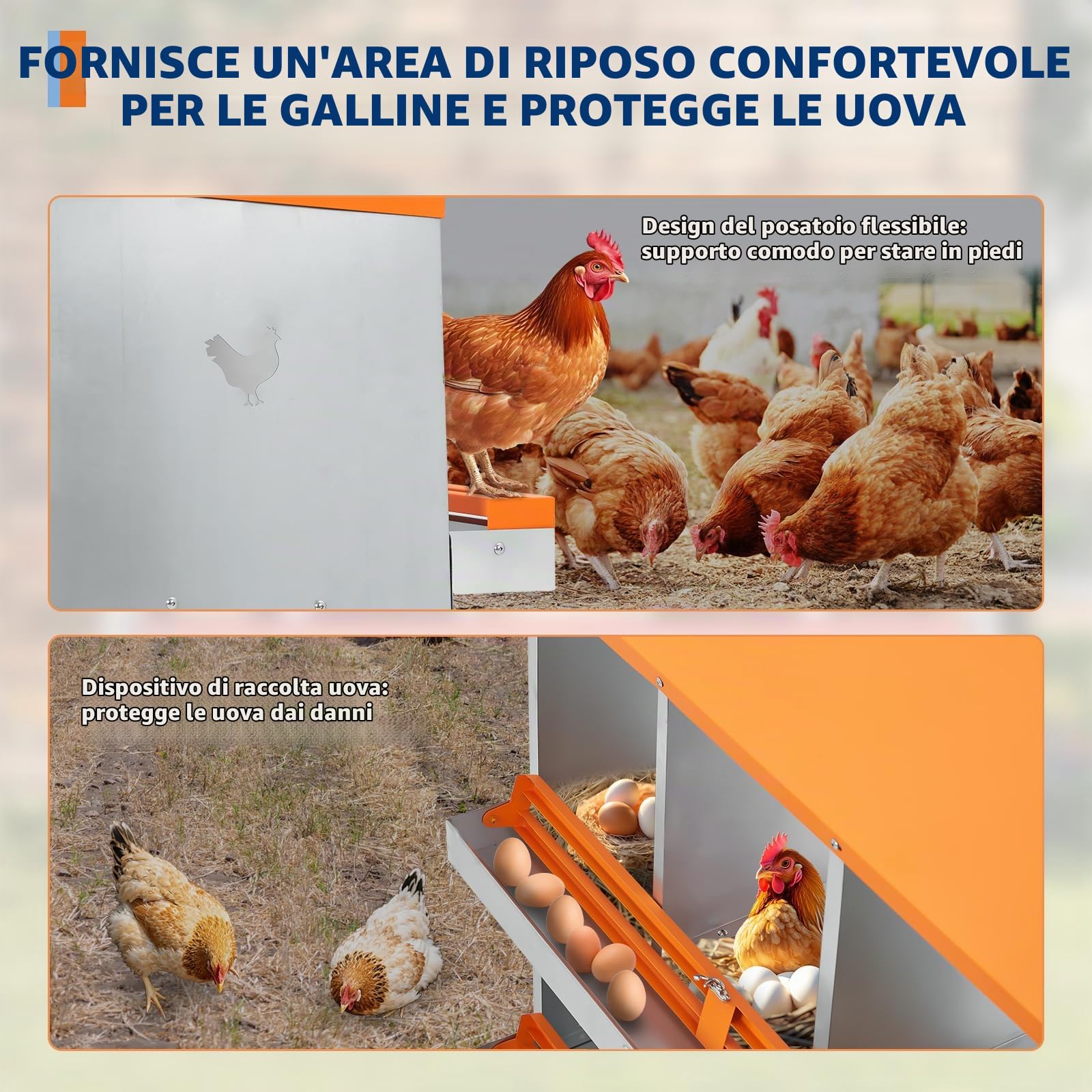 Gabbia professionale per galline ovaiole – 8 scomparti, metallo a doppio strato, ampia ventilazione, trespolo integrato, facile raccolta delle uova – Colore arancione ruggine, doppio strato 8