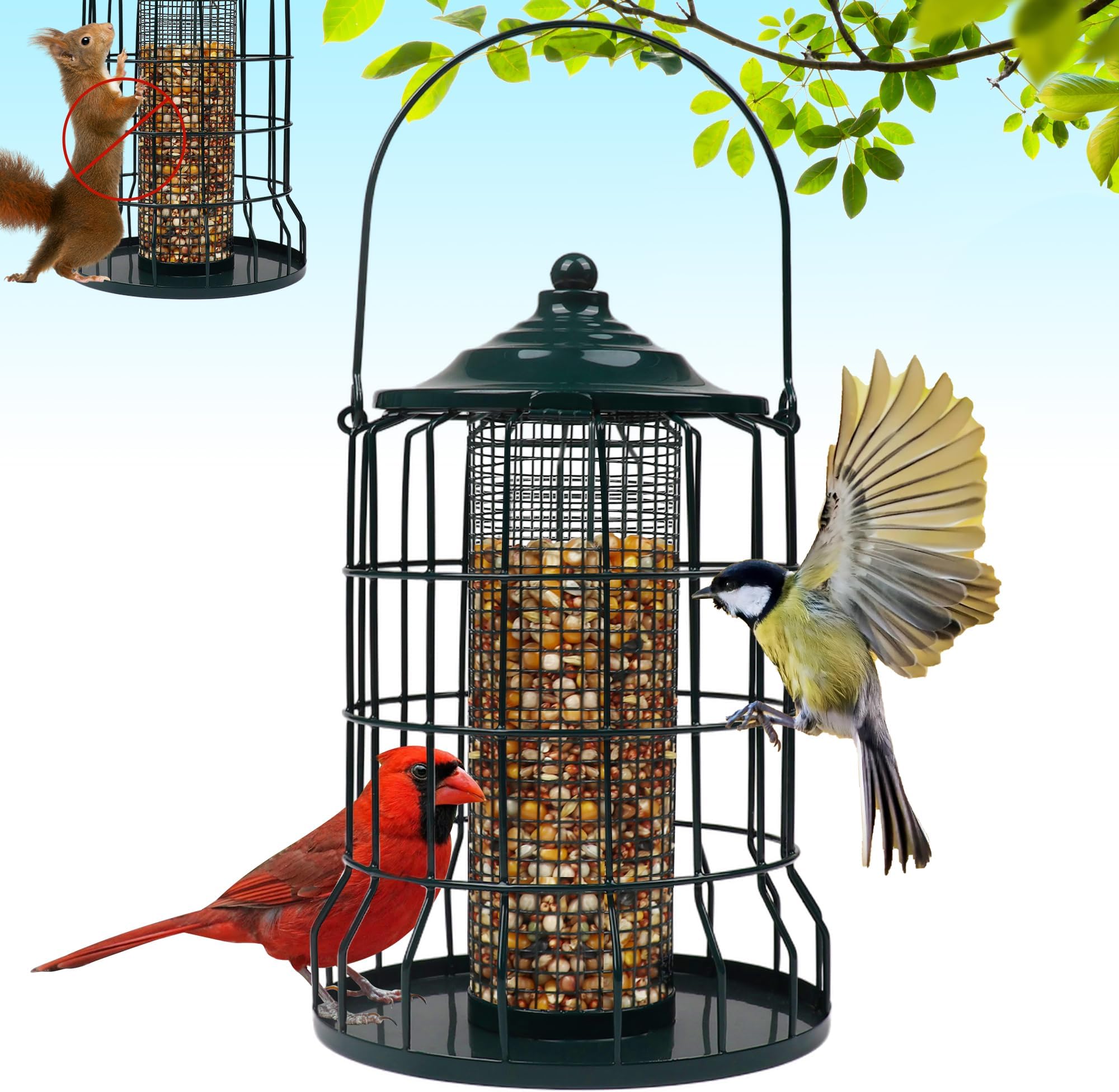 Soliom Bird Feeder with Camera Solar Powered, 2K Live Video, Squirrel ...