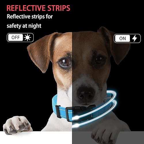 Miniatura 5 de collar reflectante para perros con hebilla de bloqueo de seguridad, collares de nailon suaves y transpirables ajustables para perros pequeños,