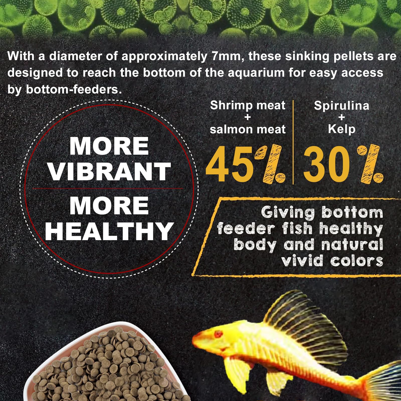 Bubble Magus Bottom Feeder Fish Food, Natural Prawns Meat, Seaweed Protein, Balanced Diet, for Catfish, Corydoras, Loaches, Large Tropical Fish (5 Ounce)