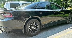 Review Image by Charlotte S Charlotte S