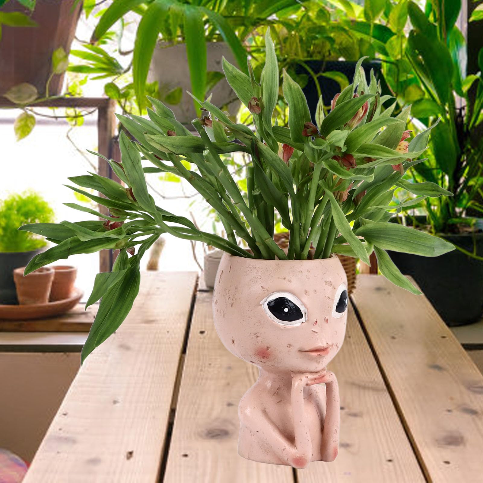 Gsycle Head Planter, Unique Succulent Flower Pot Plant Pot Open Eyed Alien Face Planter Desktop Ornament with Drainage Hole for Indoor Outdoor Decoration