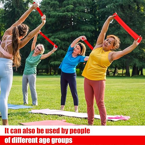 Miniatura 5 de Deekin 20 bandas de resistencia, bandas de resistencia para ejercicio, equipo de ejercicio, anillo elástico para mujeres y hombres, fitness en casa,