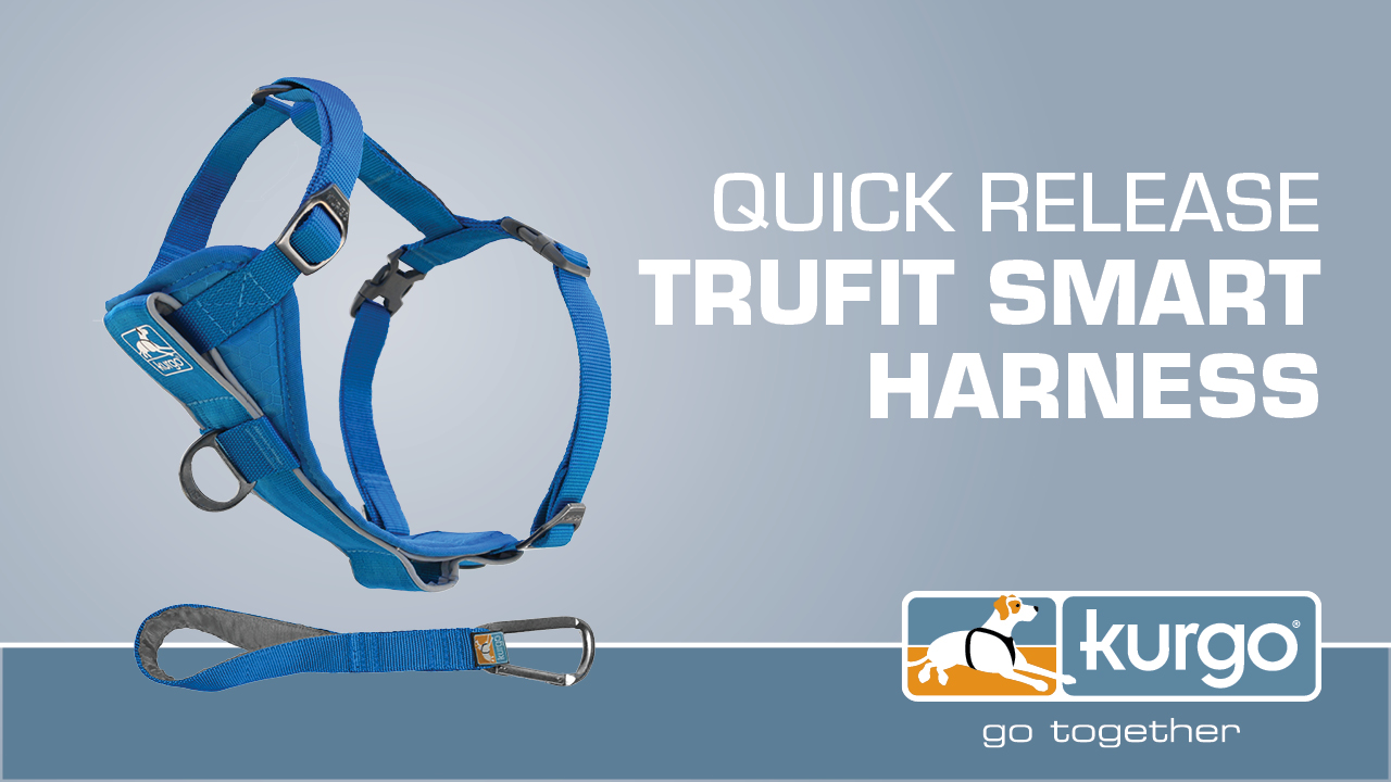 Kurgo TruFit Smart Harness with Easy On & Off Buckles
